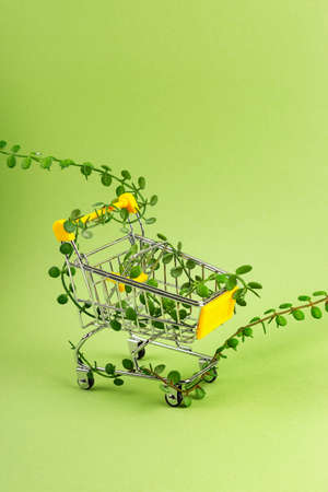 Shopping cart entwined with shoots of plants on green background. Conscious consumptionの写真素材