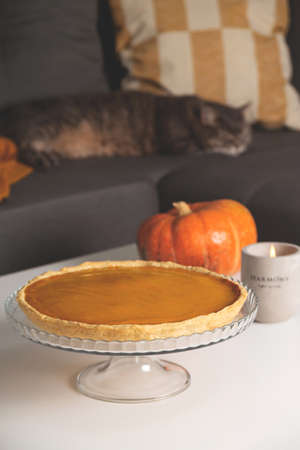 Pumpkin pie with Pumpkin and Concrete candlestick on table in living room next to sofa with gray cat among pillows and blanket.の写真素材