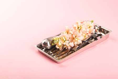 Dentist tools on metal tray with flowers on pink background. Dental care art concept.の写真素材