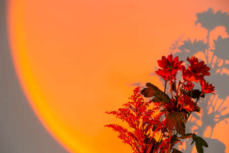 Electric sunset lamp for atmospheric, warm yellow illumination at home.の写真素材