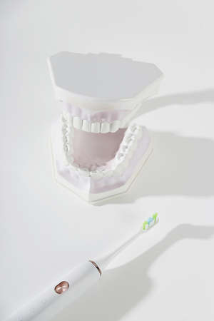 Electronic toothbrush next to jaw model with teeth on white background.の写真素材