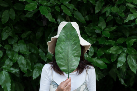 Lady in a hat holding a huge green magnolia leaf.の写真素材
