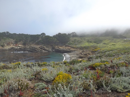 Ocean Inlet in the Early Morningの写真素材