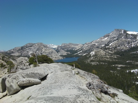Yosemite National Park view of Pondの写真素材