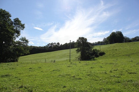 Open Field with Blue Sky and Big Cloudの写真素材