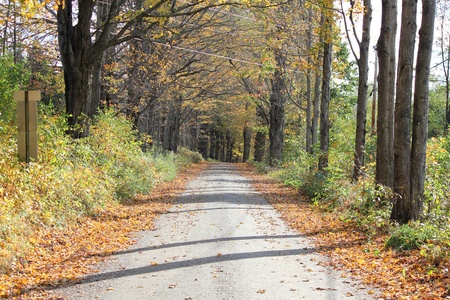 Fall Road in Vermontの写真素材