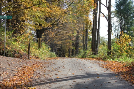 Autumn Road in Vermontの写真素材