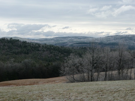 Frost Filled Trees and Mountains in Vermont の写真素材
