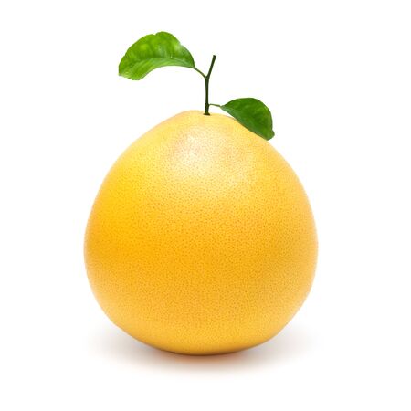 Yellow Pomelo Citrus Fruit Isolated on a White Backgroundの写真素材