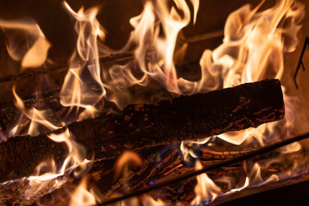 BBQ Fireplace Traditional Cooking on an Open Fire Burning Firewood in the Brazier