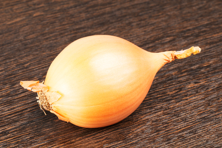 Onion over blurry brown wooden background, selective focusの写真素材
