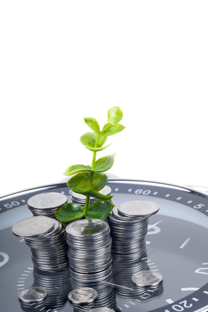 coins with plant and clock, isolated on white background.の写真素材