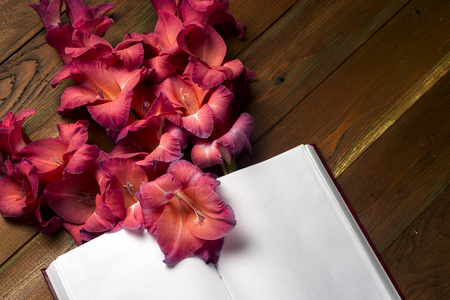 Open book on light table.の写真素材
