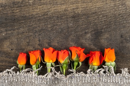 red roses on wooden board, Valentines Day backgroundの写真素材