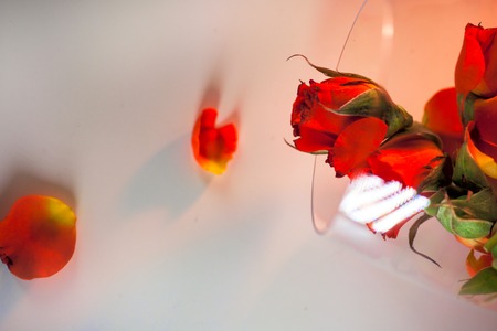 Glass vase filled with red rose petals. Aromatherapy concept.の写真素材
