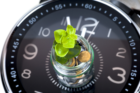 coins with plant and clock, isolated on white background.の写真素材