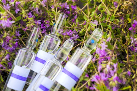 Alternative Medicine.Thyme and medical ampoules. Essential oilsの写真素材