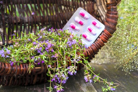 Alternative Medicine.Thyme and medical ampoules. Essential oilsの写真素材