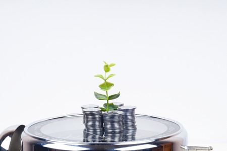 coins with plant and clock, isolated on white background. savings conceptの写真素材