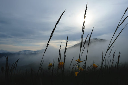 Mountain range with visible silhouettes through the morning colorful fog.