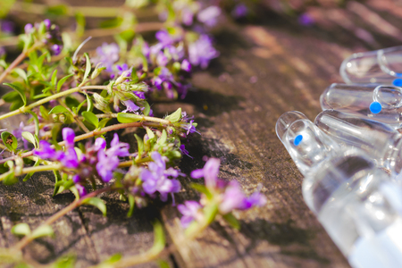 Alternative Medicine.Thyme and medical ampoules. Essential oilsの写真素材