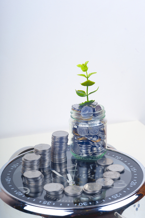 coins with plant and clock, isolated on white background. savings conceptの写真素材
