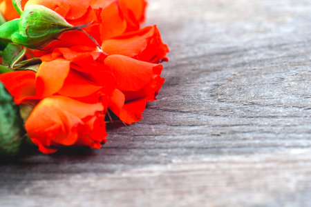 Red roses on wooden board