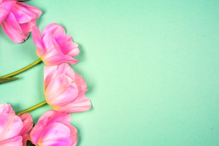 spring flowers banner - bunch of pink tulip flowersbright colorful background.の写真素材