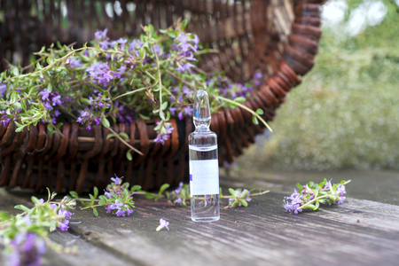 Alternative Medicine.Thyme and medical ampoules. Essential oilsの写真素材
