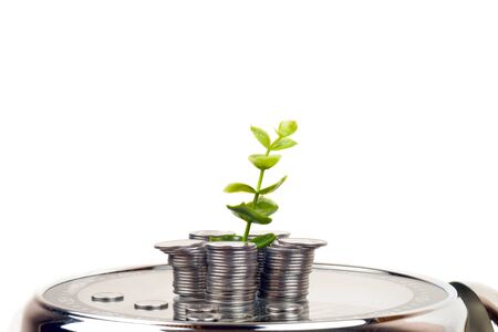 coins with plant and clock, isolated on white background. savings conceptの写真素材