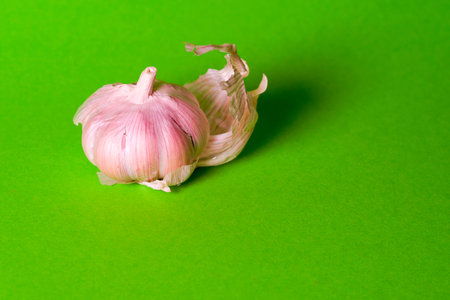 garlic isolated on bright background. Copy space for text.の写真素材