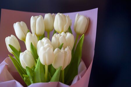 spring flowers banner - bunch of white tulip flowers on bright colorful background. spring flowers.の写真素材