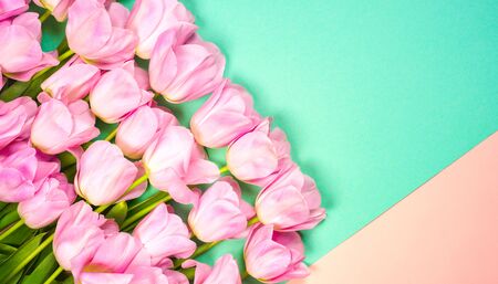 spring flowers banner - bunch of pink tulip flowers on bright colorful background. spring flowers.の写真素材