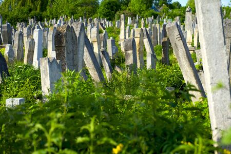 The Old Jewish cemetery at colorful sunset sky, Chernivtsi Ukraine.の写真素材