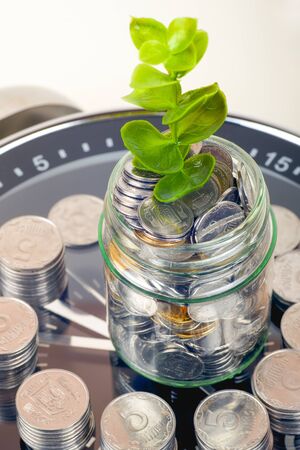 coins with plant and clock, isolated on white background. savings conceptの写真素材