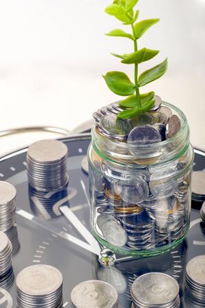 coins with plant and clock, isolated on white background. savings conceptの写真素材