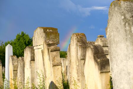 The Old Jewish cemetery at colorful sunset sky, Chernivtsi Ukraine.の写真素材
