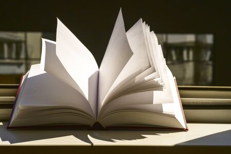 Books in the window with city view. Copy space for textの写真素材