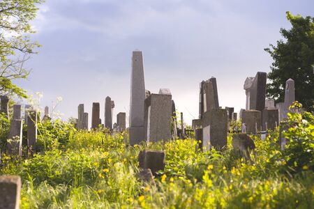 The Old Jewish cemetery at colorful sunset sky, Chernivtsi Ukraine.の写真素材