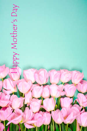 Beautiful bouquet of tulips for Mothers Day on the bright background.の写真素材
