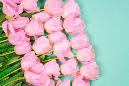 spring flowers banner - bunch of pink tulip flowersbright colorful background.の写真素材
