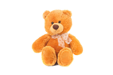 Teddy bear on a white backgroundの写真素材