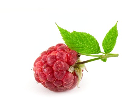 Fresh raspberry isolated on white backgroundの写真素材