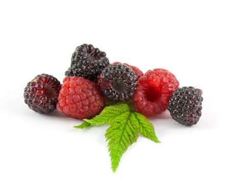 Berries isolated on white backgroundの写真素材