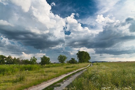 Fieds with rape under blue skyの写真素材