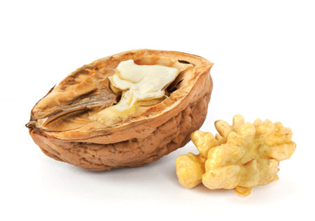 Walnut isolated on white background