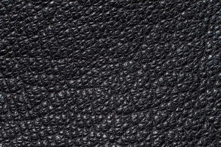 Piece of leather taken off a macro lens on a scale 1:2の写真素材