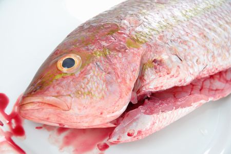 Fresh Fish in a white plate .の写真素材