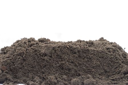 Earth for Plant on white background .の写真素材