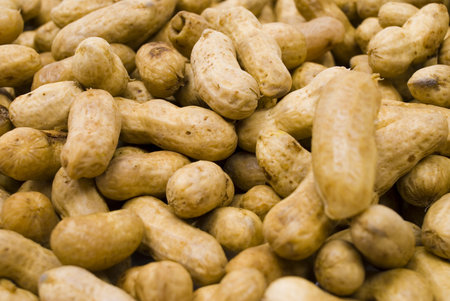 Peanut - Tasty organic peanut .
